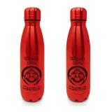 Super Mario Bros Stainless steel bottle