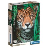 High Quality Jaguar in the Jungle puzzle 500pcs