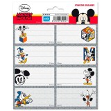 Characters Disney adhesive labels