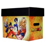 Dragon Ball Lager Kiste