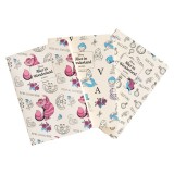 Disney Alice in Wonderlund pack 3 A6 Notizbuchs