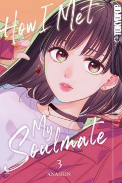 How I Met My Soulmate, Band 03