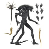 NECA Alien: Romulus Xenomorph Ultimate Figur 18cm