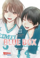 Carlsen/Hayabusa Blue Box 11