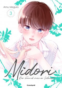 Midori - Der Freund meiner Schwester Band 03
