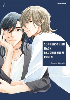 Sonnenschein nach rauchblauem Regen 07