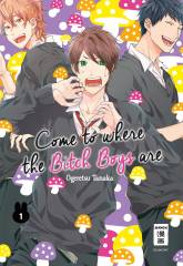 Egmont Verlag Come to where the Bitch Boys are, Band 01