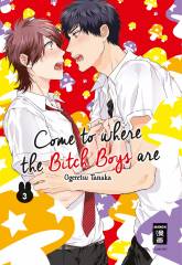 Egmont Verlag Come to where the Bitch Boys are, Band 03