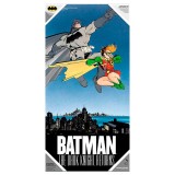 SDTOYS DC Comics Batman and Robin glass poster
