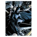 SDTOYS DC Comics Batman glass poster