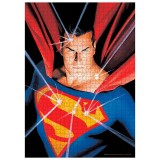 SDTOYS DC Comics Superman puzzle 1000pcs