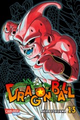 Carlsen/Hayabusa Dragon Ball Massiv 13