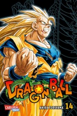 Carlsen/Hayabusa Dragon Ball Massiv 14