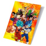 SDTOYS Dragon Ball Super Universal Survival Heroes 3D poster