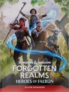 Dungeons & Dragons Forgotten Realms: Heroes of Faerun -