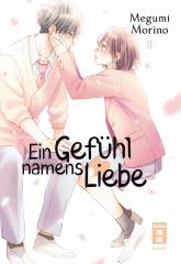 Ein Gef�hl namens Liebe, Band 11