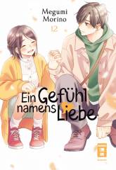 Ein Gef�hl namens Liebe, Band 12