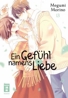 Ein Gef�hl namens Liebe, Band 13