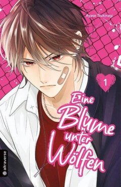 Eine Blume unter W�lfen 01, Tokyopop, 9783753948409