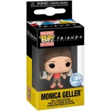 Friends Monica Geller Figur exklusiv