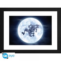 ONE PIECE - Framed print Nika