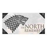 SDTOYS Game of Thrones The North Remember glass poster