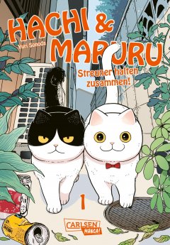 Carlsen/Hayabusa Hachi & Maruru � Streuner halten zusammen! - Band 01