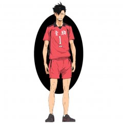 Haikyu!! Kuroo Figur 20cm kaufen