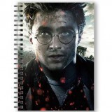 SDTOYS Harry Potter A5 3D notebook