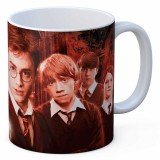 SDTOYS Harry Potter Army Dumbledore Tasse