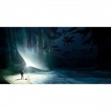 SDTOYS Harry Potter Expecto Patronum glass poster