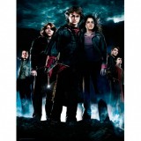 SDTOYS Harry Potter Group glass poster