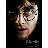 SDTOYS Harry Potter Harry Face glass poster