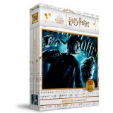 SDTOYS Harry Potter - Harry Potter and the Half-Blood Prince puzzle 100pcs