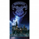 SDTOYS Harry Potter Hogwarts glass poster