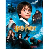 SDTOYS Harry Potter Philosophers Stone glass poster