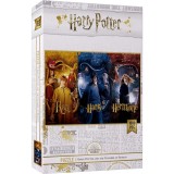 SDTOYS Harry Potter Ron, Harry, Hermione puzzle 1000pcs