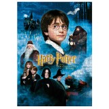 SDTOYS Harry Potter Sorcerers Stone Movie Poster puzzle 1000pcs