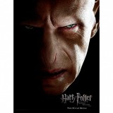 SDTOYS Harry Potter Voldemort Face glass poster