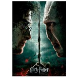 SDTOYS Harry Potter Voldemort vs Harry puzzle 1000pcs