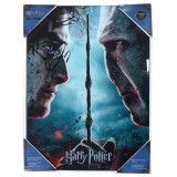 SDTOYS Harry Potter vs Voldemort glass poster