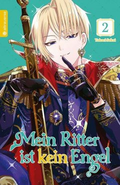 Altraverse Mein Ritter ist kein Engel, Band 02