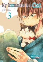 Carlsen/Hayabusa My Roommate is a Cat 03