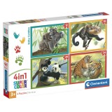 Clementoni Noli Baby Cuddles puzzle 12-16-20-24pcs