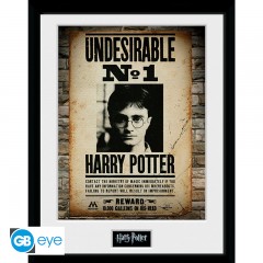 HARRY POTTER - Framed print Undesirable No 1