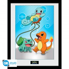 POKEMON Kanto Starter gerahmter Druck