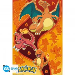 POKEMON Poster Fire Type - 91cm x 51cm