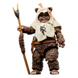 Hasbro Star Wars Return of the Jedi 40th Anniversary Paploo Figur 15cm
