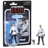 Hasbro Star Wars Survivor Cal Kestis Figur 9,5cm