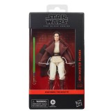 Hasbro Star Wars The Acolyte Jedi Master Indara Figur 15cm